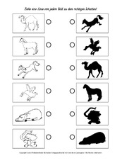 Verbinden-zu-Schattenbildern-1-18.pdf